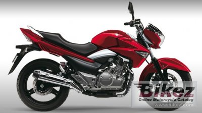 2013 Suzuki Inazuma 250 photo